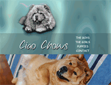 Tablet Screenshot of ciaochows.co.za